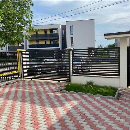Cozy Apartament With 2Rooms Timişoara Buitenkant foto
