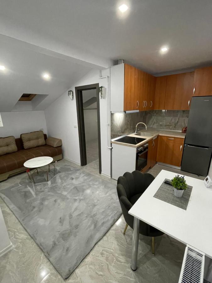 Cozy Apartament With 2Rooms Timişoara Buitenkant foto