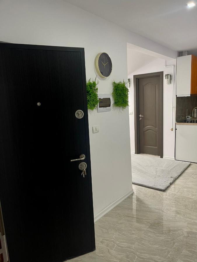 Cozy Apartament With 2Rooms Timişoara Buitenkant foto
